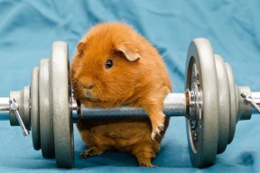 爱游戏全站-《新版本上线：对战策略发生巨大变化》，新出的对战手游