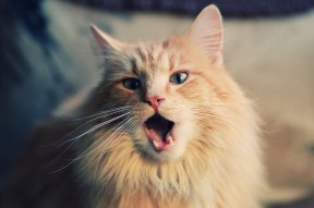 爱游戏官方-俱乐部财务透明度不断提升，行业健康发展，俱乐部财务管理制度