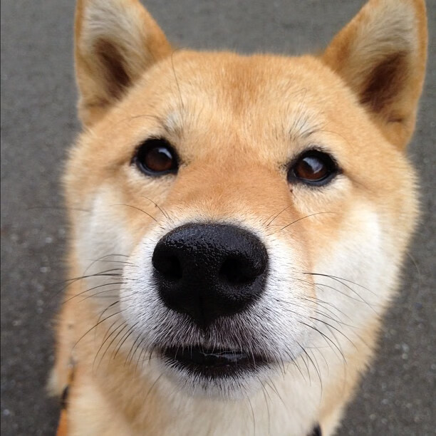 _费德勒宣布退役，网坛传奇告别赛场_，费德勒退出2020赛季 新闻