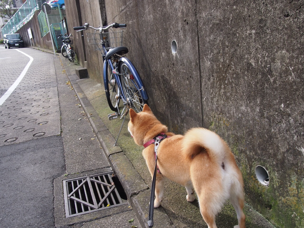 “青训营引入VR技术，打造沉浸式训练体验”，青训营cf