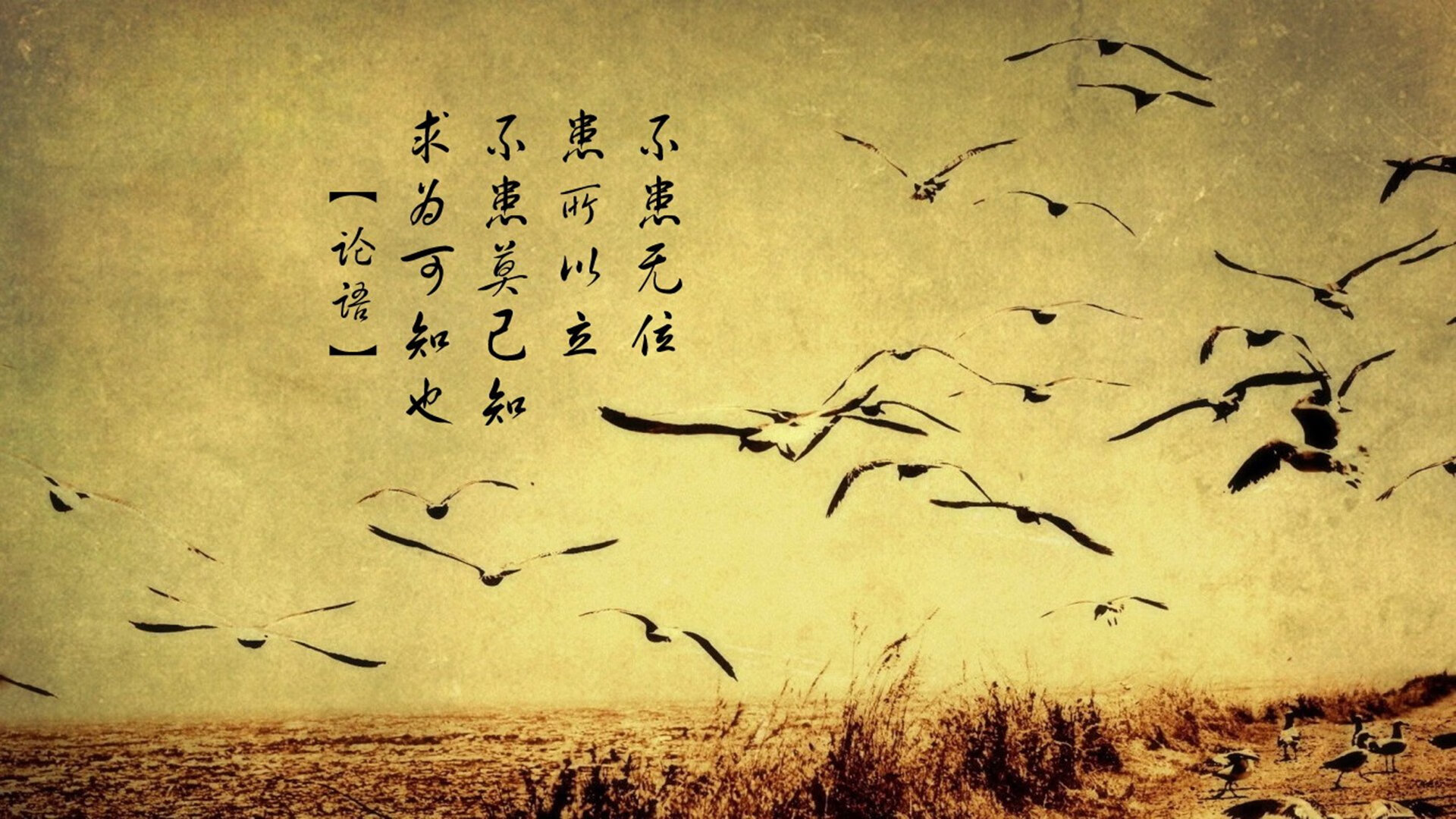 【新星崛起】罗德里格斯带领水手迎来连胜