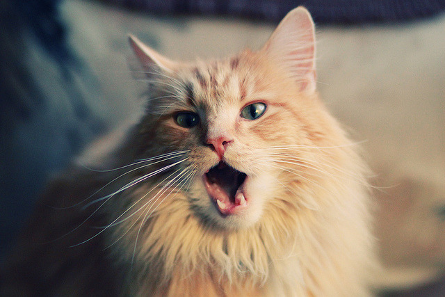 俱乐部财务透明度不断提升,行业健康发展,俱乐部财务管理制度